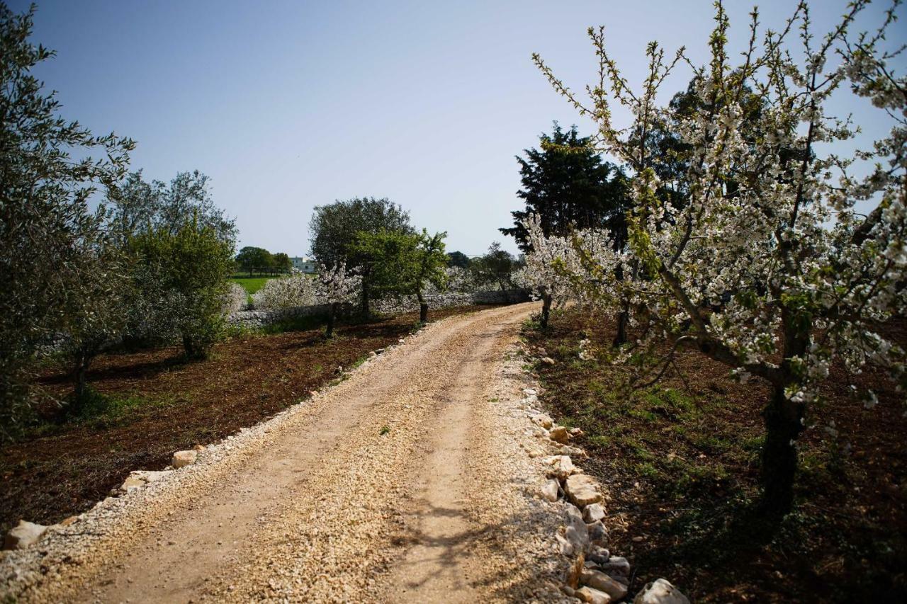 Masseria Guadiano Vecchio Santa Lucia  Exterior foto